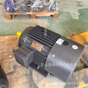 55WIE3能效4极三项异步电机现货 250M 上海电机YX3 YE3