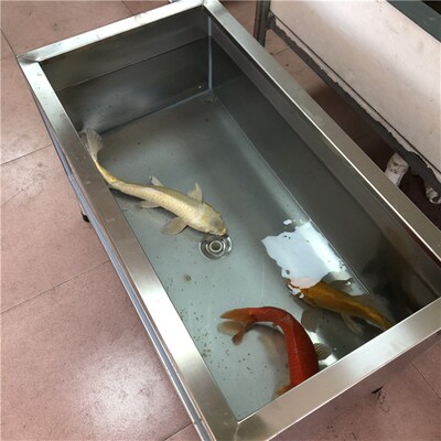 304不锈钢玻璃客厅阳台家用大型鱼缸龟缸加过滤器水箱金鱼锦鲤池