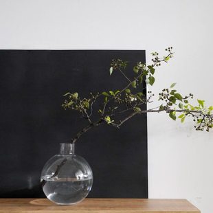 OOOOH圣诞系列北欧简约圆形玻璃花瓶金合欢诺贝松水培插花器