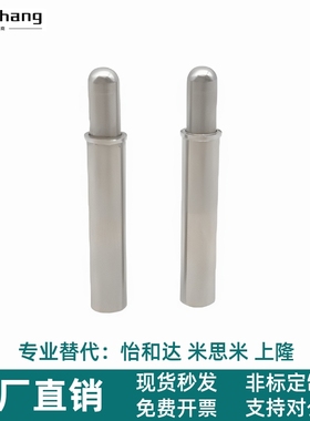 BSGA/BSGB-D2 D3 D4 D5-S1.5 S3 S4 S6 S8 S9 S12 不锈钢弹簧柱塞