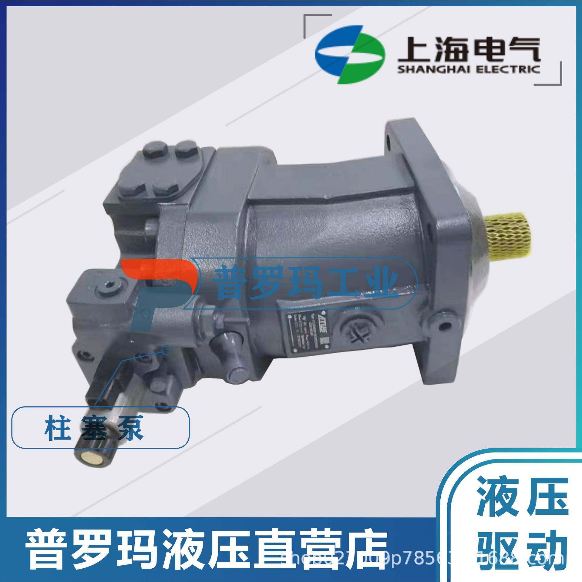 斜轴式弯脖泵柱塞泵/液压泵马达A2F107R6.1B5/125/180