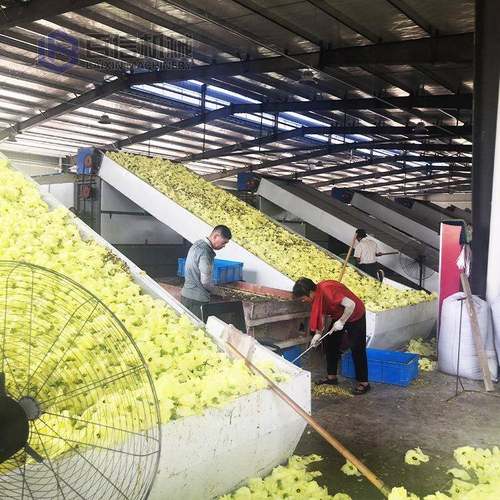金银花中药材烘干机连续式枸杞金银花烘干设备金银花干燥机