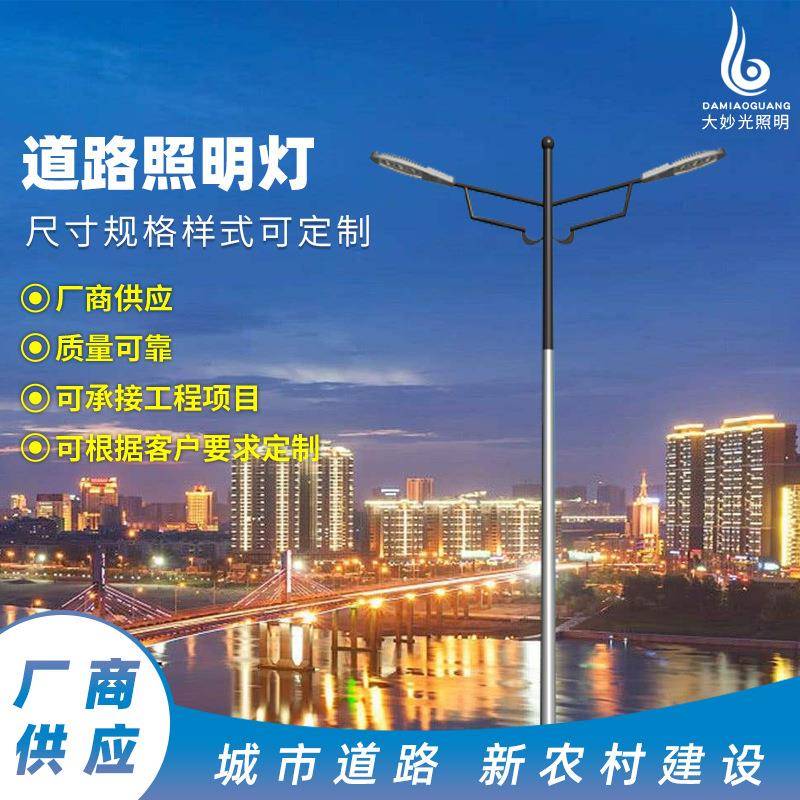 厂家生产市电工程小区景区城市道路照明路灯大功率LED路灯可定制