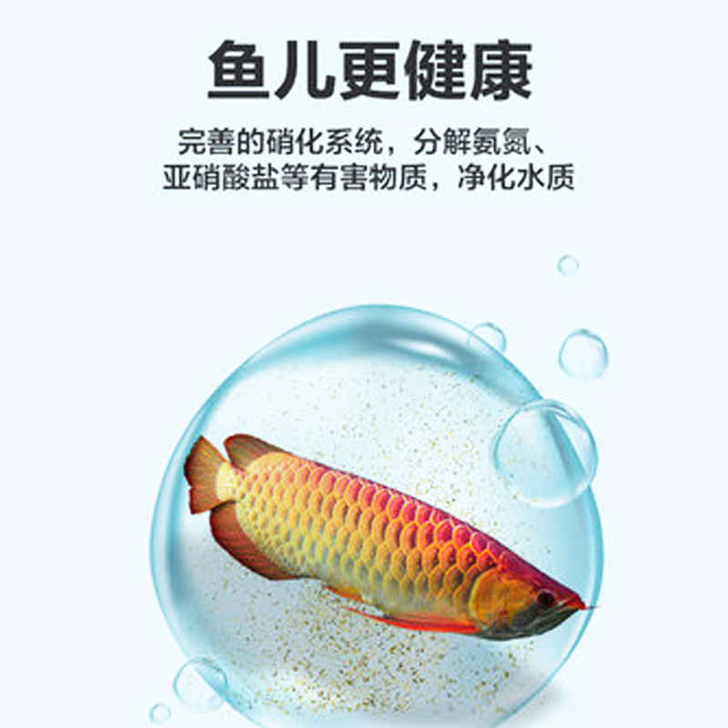 活菌一号硝化细菌鱼缸用净水消化水族鱼药锦鲤净化水质酸奶稳定剂