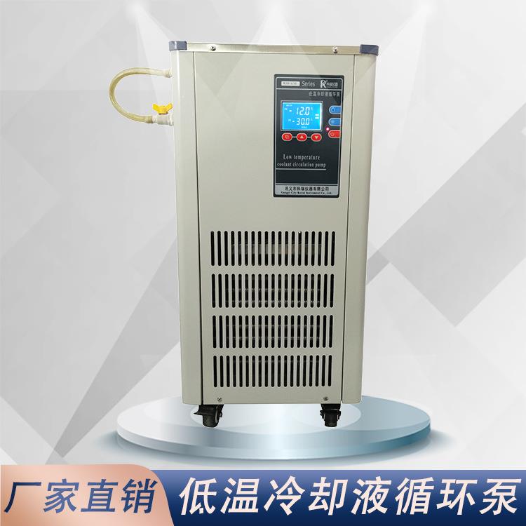 实验室冷却液循环机dlsb-5/20低温冷却液循环泵循环冷却水系统
