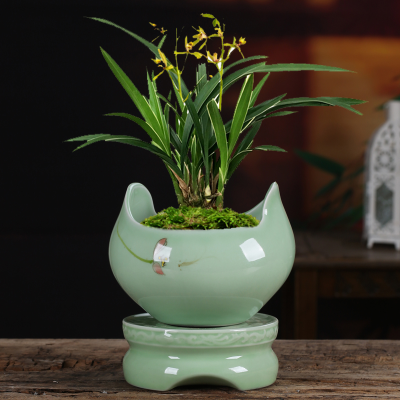 创意绿箩多肉花盆懒人自动吸水陶瓷家用透气文竹蝴蝶兰花盆栽大号