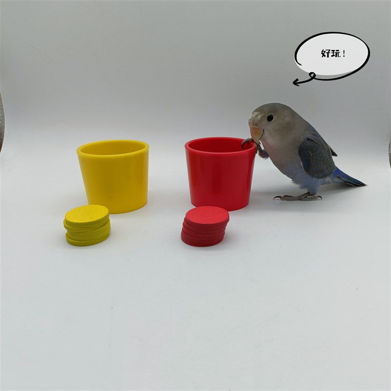鹦鹉智力玩具训练道具五色杯子虎皮牡丹玄凤均可以玩