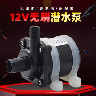 12V无刷直流潜水泵微型小型水泵迷你家用浇花鱼缸假山美容仪专用