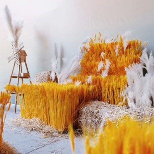 黄金麦穗干 饰婚庆道具摆件麦 干燥花田园景观大麦花束商场橱窗装