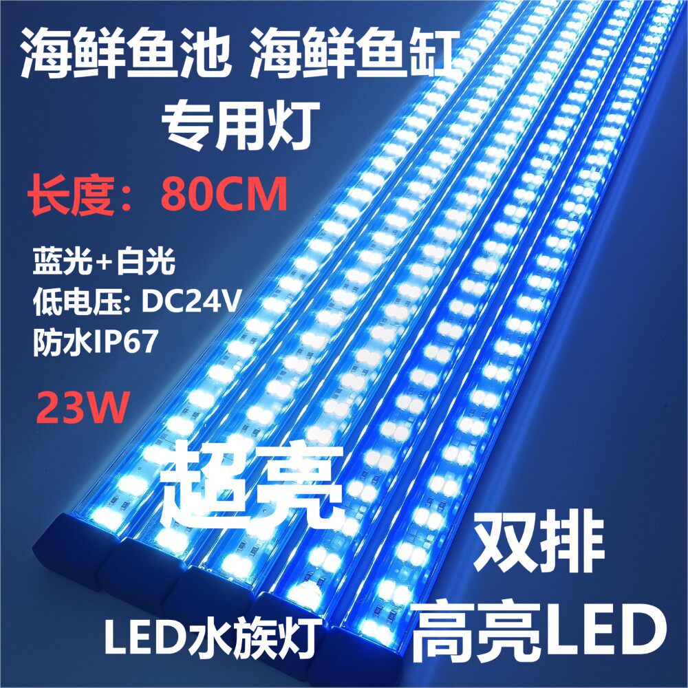 防水低压24V海鲜池鱼缸灯