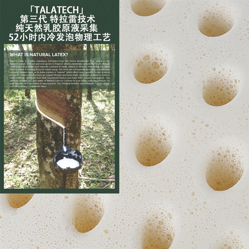deeptex堤普泰特拉雷物理发泡泰国天然乳胶成人橡胶颈椎保健枕头