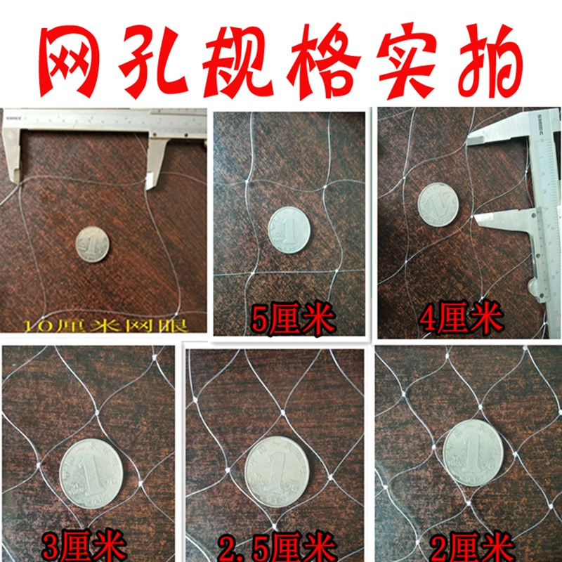 防鸟网果园免邮尼龙网葡萄网樱桃网稻谷鱼塘防护网天网厂家按斤算