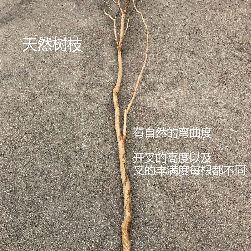 枯藤干树枝 家居仿真装饰树枝花艺软装材料 婚礼舞台背景搭建干枝