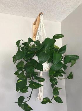 2件装3角型木质墙架支撑架，花盆挂架，木色家居装饰架