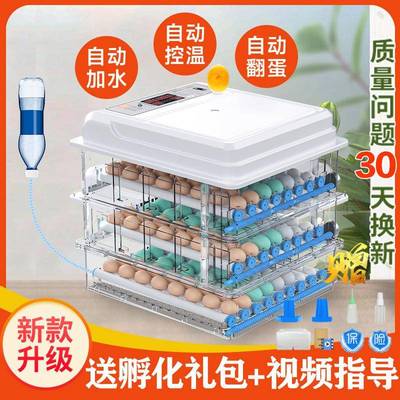鸡蛋孵化器小型家用型全自动智能孵蛋器芦丁鸡孵化箱孵化机孵小鸡