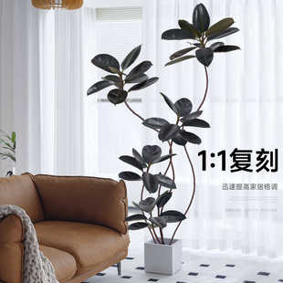 仿真绿植盆栽室内大型橡皮树高端轻奢假生植物客厅装饰摆件沙发旁