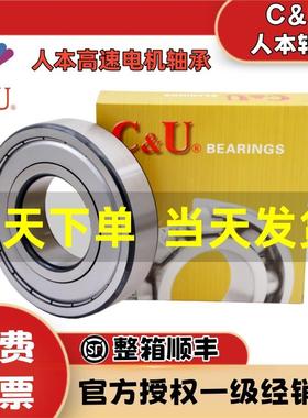 人本6203轴承6204高速6205正品6206大全201 6202 6309 6308ZZ6200