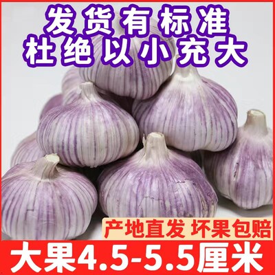 周口市箱装整颗未去皮大蒜
