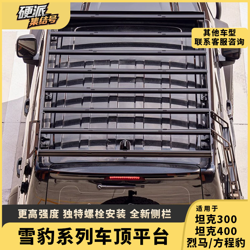 坦克300/400车顶行李架侧爬梯