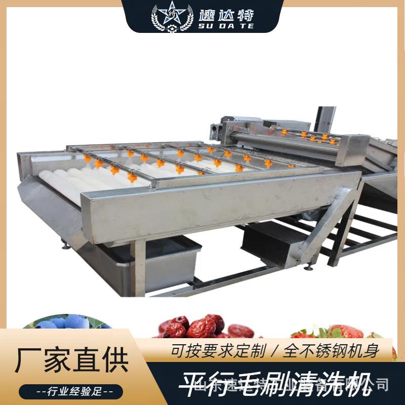 莲藕毛辊去皮清洗机平行式红薯毛辊清洗机扇贝去杂毛刷清洗机设备