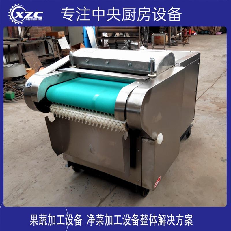 加宽加长药材新款高效豆角切段机荷叶切块机梅干菜切碎机