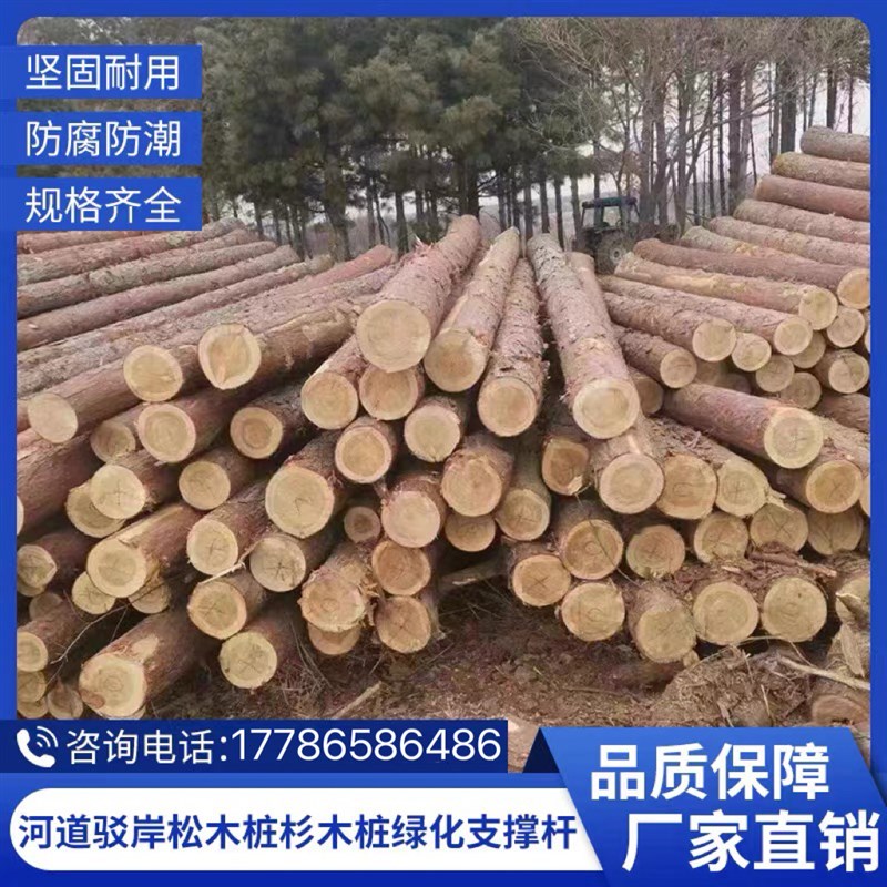 杉木桩打桩木户外河道护坡v原木实木桩绿化杉木支撑杆抗洪木桩木