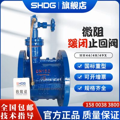 铸钢微阻缓闭蝶式止回阀球墨铸铁不锈钢304防水锤消声HH46/8/9X/H