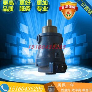 1B轴向柱塞泵 250MYCY14 160 100 江苏恒源10