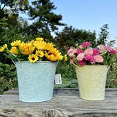 欧式 田园风铁艺浮雕花盆户外多肉花器