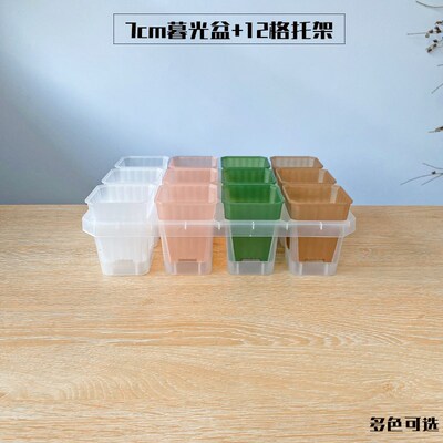 7cm口径 暮光透明花盆12格托架彩色多肉扦插绿植块根蔬菜播种育苗