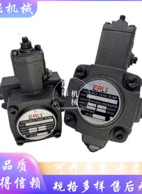 15/30叶片泵20/T/40/C7AAL4-F79/-EF35V12/Y弋力TP/25/E/10/D/B/