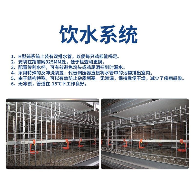 养殖鸡场自动喂料机m绞龙升降上料送料投料机饮水器鸭棚舍水线料