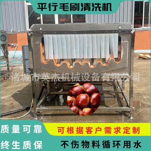 商用栗子平行毛辊清洗机毛刷清洗机 洋芋压喷淋清洗机