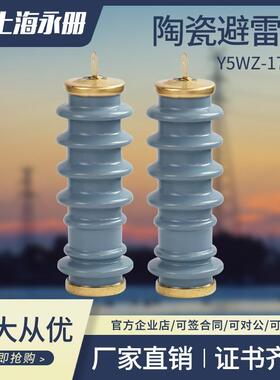 陶瓷避雷器Y5WS-17/50FT广式蓝色陶瓷10kv12kv白色高压阀式避雷器