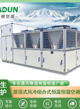 屋顶式风冷直膨空调机组10HP15HP20HP25HP30HP40HP50HP