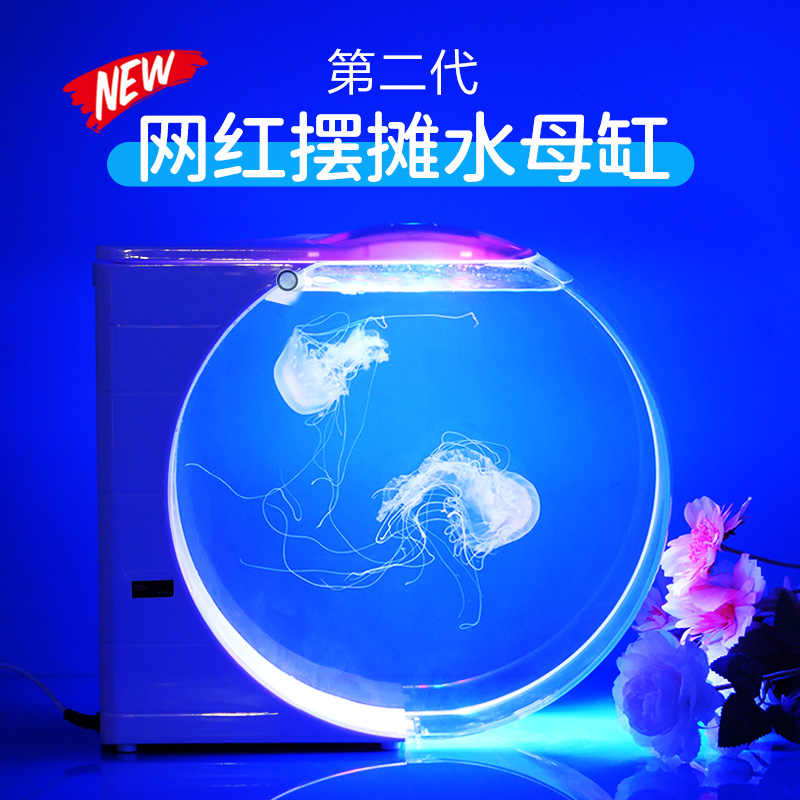 摆摊水母缸桌面缸10oL展示缸水族生态鱼缸赤月海月活体地摊养殖缸