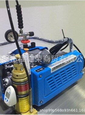 Honeywel霍尼伟尔电动充气泵BC163099B