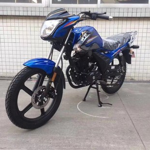 两轮摩托车 169cc 燃油摩托车 150cc 国四电喷可上牌锋度