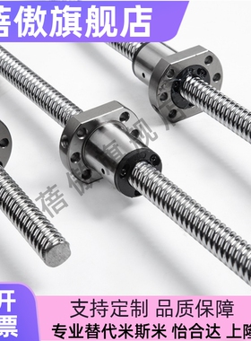 SFS1605/2510/3205/3220/2525/3232/4010高速静音型滚珠丝杆螺母