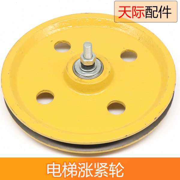 宁波申菱限速器电梯涨紧轮200 250*20*6003通力涨紧装置电梯配件