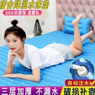 降温水床垫双人家用凉席学生冰床垫 水床冰垫水垫水席宿舍单人夏季
