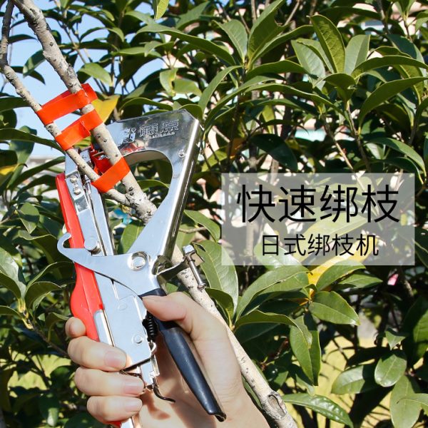 藤原绑枝机固定胶带捆绑机西红柿黄瓜葡萄树苗绑蔓器扎条捆枝机