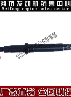 油嘴6170314淄柴1F70柴油发动机0福36仕德8船用P喷油器总成SB淄博