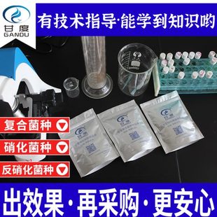 微生物甘度硝化反硝化复合细菌厌好氧菌样品实验装 污水处理菌种