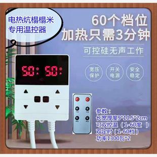 电热炕榻榻米专用温控器双控温控开关电热板遥控温控器电热膜温控