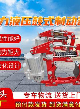 电力液压鼓式制动器 DYW710-2250带式输送机用电力液压鼓式制动器