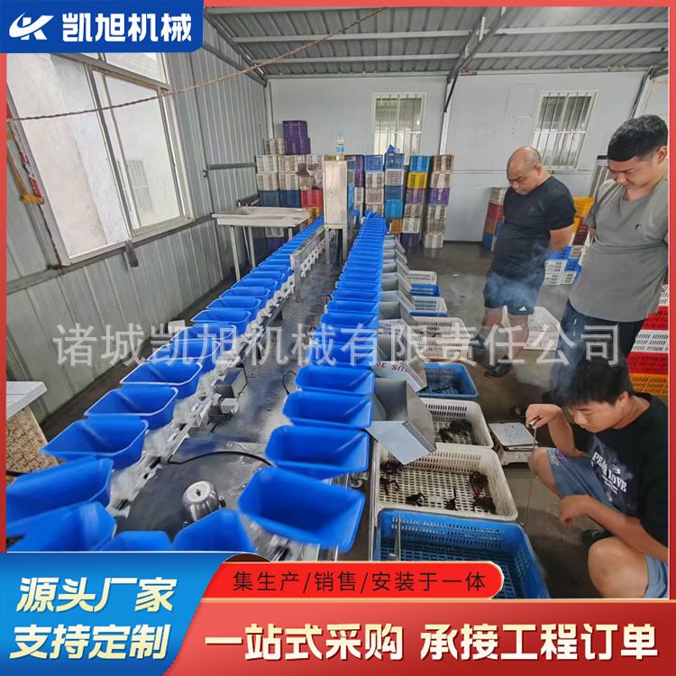 袋装香辣卤脖称重分选机 鸡脖鸭脖动态重量检测连续分级机 精度高