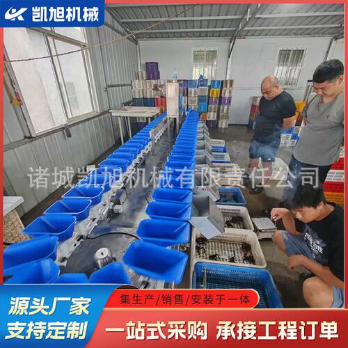 袋装香辣卤脖称重分选机 鸡脖鸭脖动态重量检测连续分级机 精度高