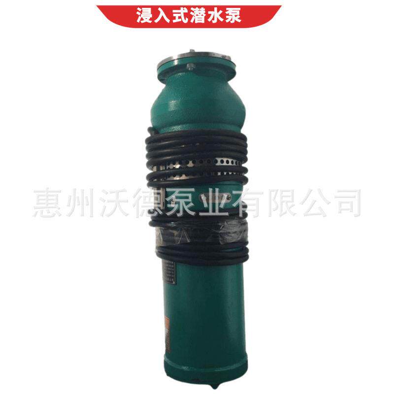 供应喷泉泵QSP100-7-3立式潜水泵380V深井取水提升电动抽水泵