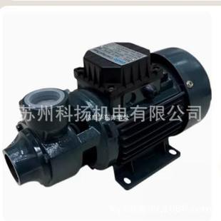 IDB 220V Peripheral 50HZ Pump清水泵IDB 1DB 原厂ESPA